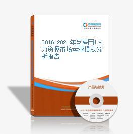 2016-2021年互聯(lián)網(wǎng)+人力資源市場運(yùn)營模式分析報告